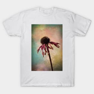 Wilted Textured Cone Flower T-Shirt